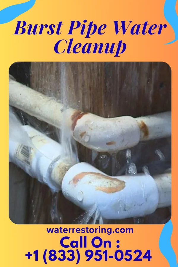 Burst Pipe Water Cleanup in Wheatley Heights, NY