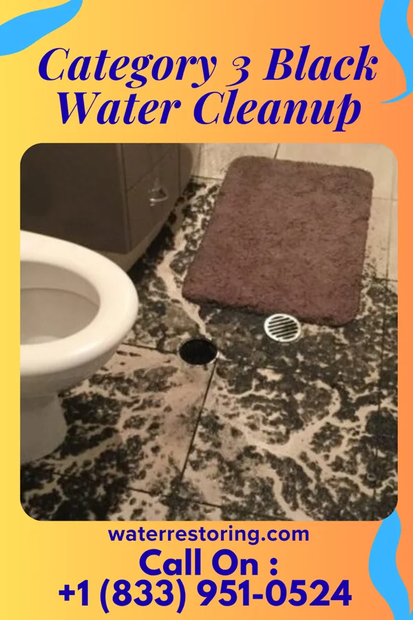 Category 3 Black Water Cleanup in Wheatley Heights, NY
