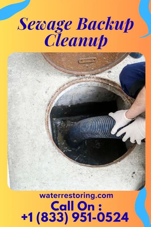 Sewage Backup Cleanup in Wheatley Heights, NY