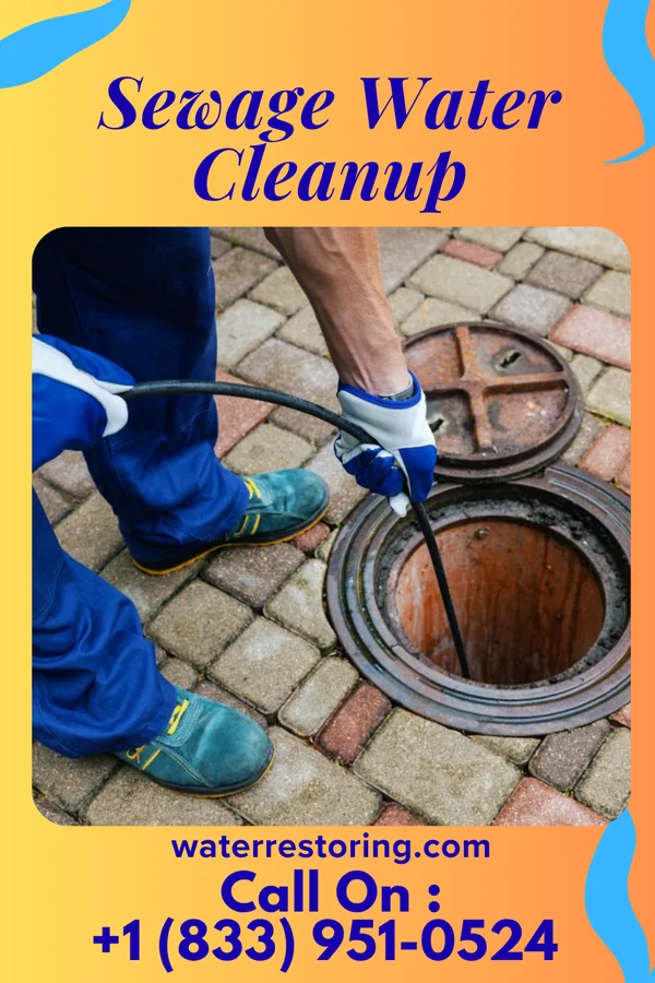 Sewage Water Cleanup in Wheatley Heights, NY
